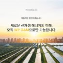 더블유피 이미지
