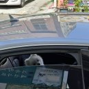 대구가축병원 이미지