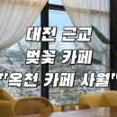 성왕로 | 대전 근교 벚꽃 명소 | 옥천 교동호수 근처 카페 사월 벚꽃구경 후기