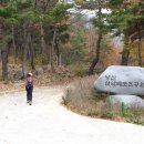 냉산공원 이미지