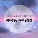 테라176 이미지