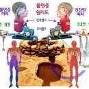 꿀잠 29강. 불면증 원인 치료 숙면, 꿈, 잘자. 이미지