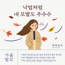 동탄에서 유명한 탈모관리 전문 하루두피 동탄1점 탈모관리 후기