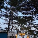 계단집 | 여수 풍경 맛집, 계단집 조개구이 내돈내산 후기