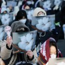 목화빌딩 앞 이미지