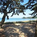 이태백야영장 이미지