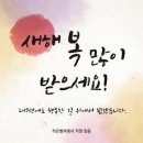 작은별여행사