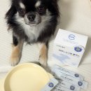 유일종합유통 | 강아지 종합영양제 CMG제약 이뮤노올인원 플렉스 급여 후기