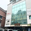 반려동물사진관 강남 펀앤베네핏스튜디오 가로수길 강아지 촬영