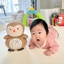 러블리주니 | 수면 애착인형 러블리부 블루래빗 유아완구 아이큐베이비 사용 후기