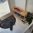 퍼피루스 이미지