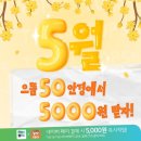 으뜸50안경논현역점 이미지