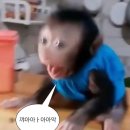 원큐뽑기방 이미지