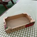 해뜨는아침농장 | 울산 딸기체험 아이랑 가기 좋은 체험농장 해뜨는딸기