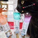 (주)페트라산업개발 | 고양이 양치법 초보집사도 따라하는 3가지 방법