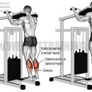 이승삼 스포츠센터 이미지