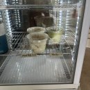 디밀 | <250813-250817 한주 기록>