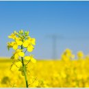 이룬의원 이미지