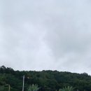 천안 랜드마크195 카페 이미지