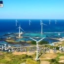송일목장 티스토리