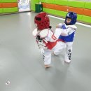 용인대 최강키즈 태권도장 이미지