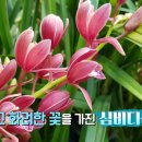 여주-0480 이미지