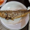 돈푸대포차 이미지