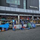 와룡투