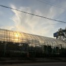 청계산로A 이미지