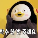 구르미의 오션 네이버블로그