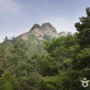 한국차문화공원 이미지