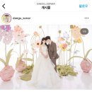달담디자인스튜디오 | 04 대구 워킹으로 결혼 준비 - 스냅, DVD, 스튜디오 투어 후기 (디보션 스냅, 소나르, 메이든, 디피즈...