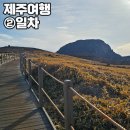 인성리-2 | [제주도] 제주여행 2일차(3.22.)