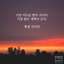 이들은 결코 절망하지 않았습니다. 이미지