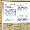 이색선생 묘일원 이미지