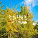 용인 한국민속촌 예매 놀이공원 기구 종류 인형만들기