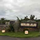 실론제주 이미지