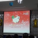 애플씨드 이미지