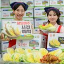 조공화원 이미지