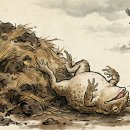 탐관오리 | [고전시가] 탐관오리를 풍자한 두터비 파리를 물고