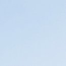 📢 “우편 접수 불가”는 헌법 위반?! — 경찰의 옥외집회신고 거부, 법원에서 제동! 🧑‍⚖️ 이미지