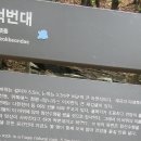 우림 이미지