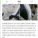 크린웨이브운동화세탁 이미지
