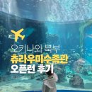 11545-10-13-30 | 오키나와 츄라우미수족관 8시30분 오픈런 후기