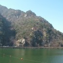 강변살자 이미지