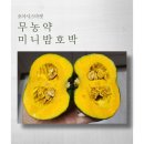 호박마켓 | 오아시스마켓 무농약 미니밤호박 포슬포슬 맛있는 보짱밤호박