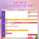 농업회사법인 해금송이㈜ | 백만송이 튤립,수선화 아산 피나클랜드 봄꽃 대향연