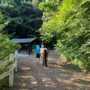 송곡승마교육원 이미지