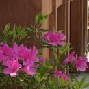 풍영초교병설유치원 이미지