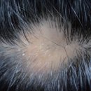 원형한의원 이미지